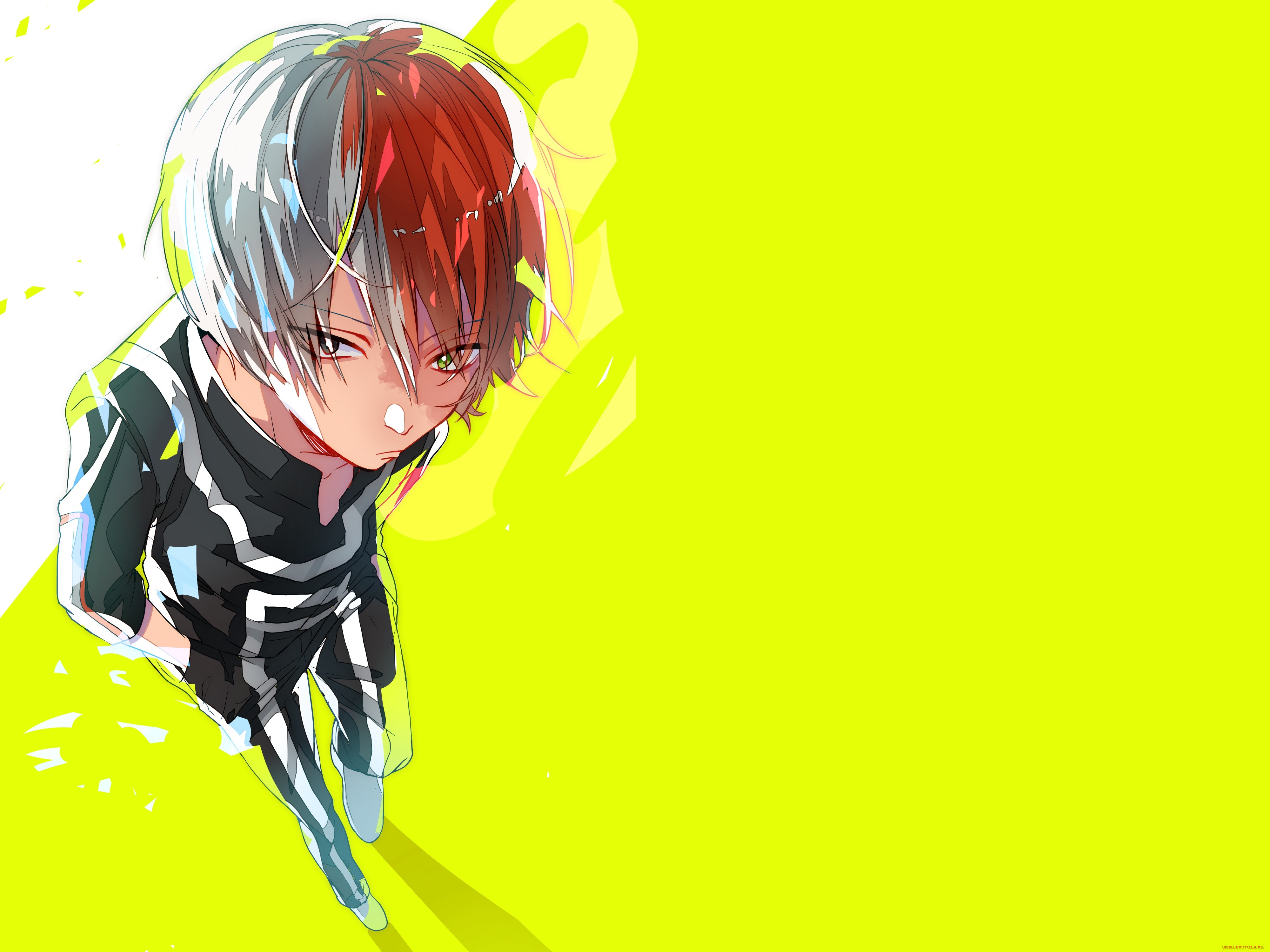 , boku no hero academia, 